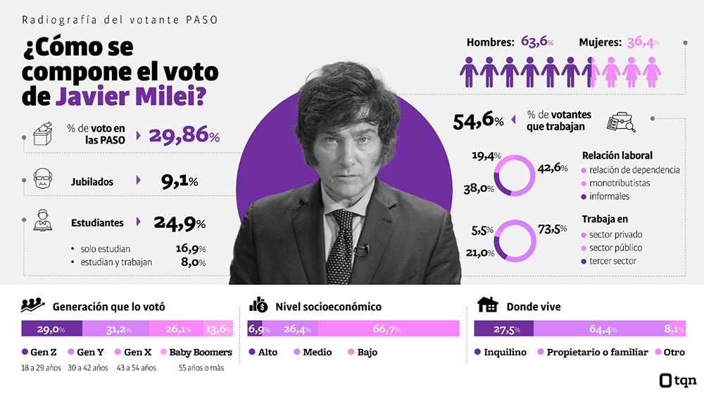 Taquion. Radiografia del votante de Milei